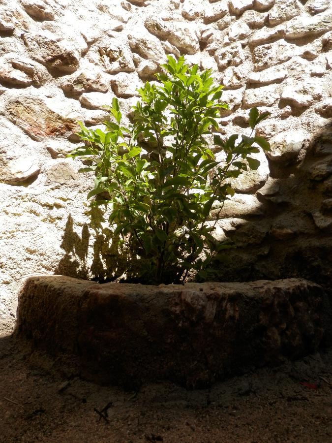 Cali B&B Alatri Exteriér fotografie